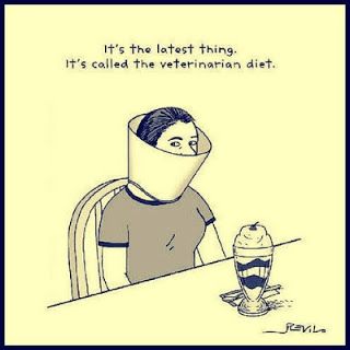 . Diet Jokes, Veterinary Humor, Diet Funny, Image Positive, Cone Of Shame, Diet Humor, Smarty Pants, Humor Memes, Workout Humor