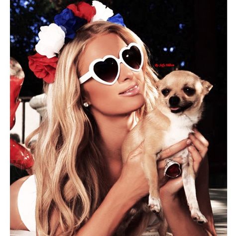 @ParisHilton "#Freedom" or "#LadyLiberty"... you decide, #PeterPanHilton. #ParisHilton Paris Hilton Dog, Tao Las Vegas, Pets Aesthetic, Chihuahua Mom, Nicky Hilton, I Love Paris, Happy 4th Of July, Happy 4 Of July, Beauty Icons