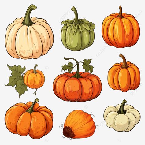 set pumpkins nature food day harvest thanksgiving gourd orange leaf orange cartoon png Fall Aesthetic Cartoon, Gourd Illustration, Thanksgiving Gourds, Cartoon Png Transparent, Orange Cartoon, Cartoon Leaf, Food Day, Nature Food, Cartoon Png