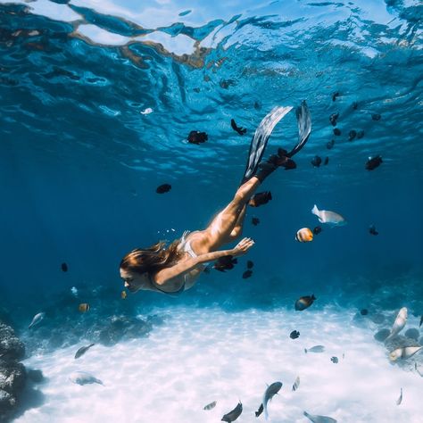 33 Best Snorkeling Destinations in the World, From the Maldives to Iceland | Condé Nast Traveler Chicago Restaurants Best, Scuba Diving Tank, Swim With Dolphins, Diving Tank, Luxurious Gifts, Rescue Diver, Scuba Tank, Grace Bay Beach, Maldives Beach