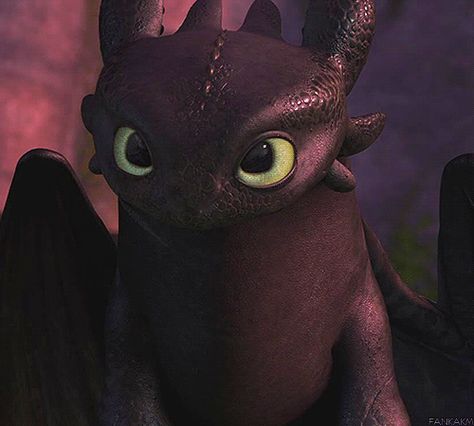 Aggressive to cute :3 (1) Cute Toothless, Httyd Toothless, Toothless And Stitch, Toothless Night Fury, Night Fury Dragon, Toothless Dragon, Dreamworks Dragons, Httyd Dragons, Let You Go