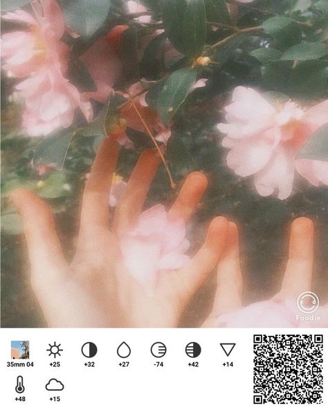 Foodie Code Aesthetic, Foodie Edit, Code Aesthetic, Foodie Preset, Foodie Filter Code, Foodie Filter, Vintage Photo Editing, Photography Editing Apps, Phone Photo Editing