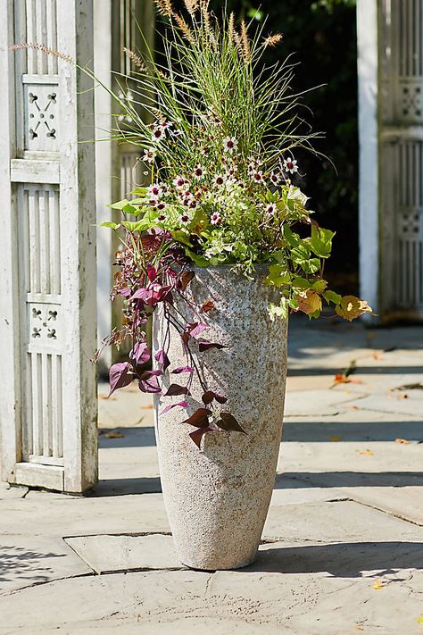 Flower pots outdoor