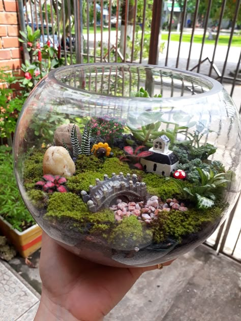 Fairy Terrarium Ideas, Fairy Garden Pots, Diy Succulent Terrarium, Succulent Garden Indoor, Fairy Garden Plants, Beautiful Terrariums, Succulent Garden Design, Succulent Garden Diy, Theme Nature