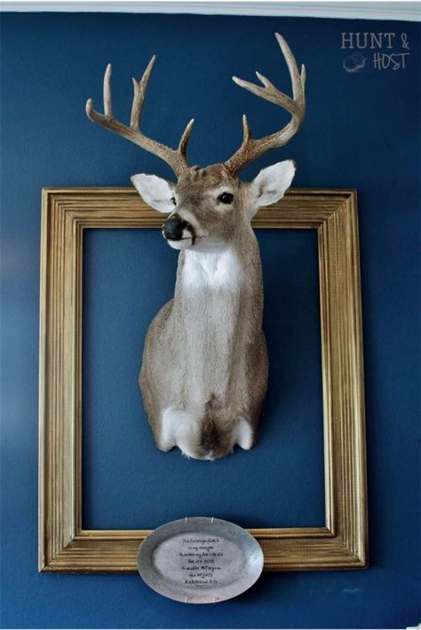 French country décor. incorporating your man's trophy into your home. #shabbychic #antlers #sharpielove www.huntandhost.com Photo Wall Collage With Deer Head, Deer Trophy Wall Display Ideas, Stag Head Wall Mount, Living Room Decor With Deer Mounts, Decorating With Deer Mounts, Deer Mount Decor, Deer Mount Ideas, Deer Head Decor, Stags Head