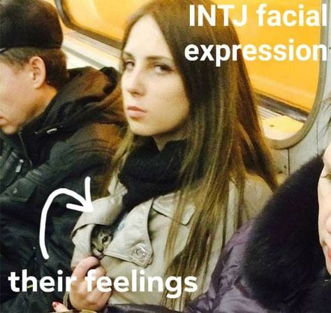 Intj X Istj, Intj Core, Intj Things, Intj Infp, Entp And Intj, Intj Humor, Personalidad Enfp, Intj Enfp, Intj Women