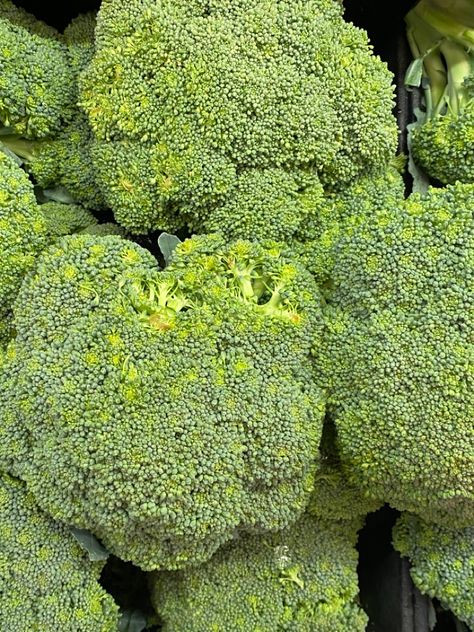 #green #aesthetic #broccoli #vegetables #healthy #eating #diet Aesthetic Broccoli, Emotion Moodboard, Disgust Emotion, Salad Broccoli, Recipe Broccoli, Broccoli Salad Recipe, Broccoli Salad, Broccoli Recipes, Scott Pilgrim