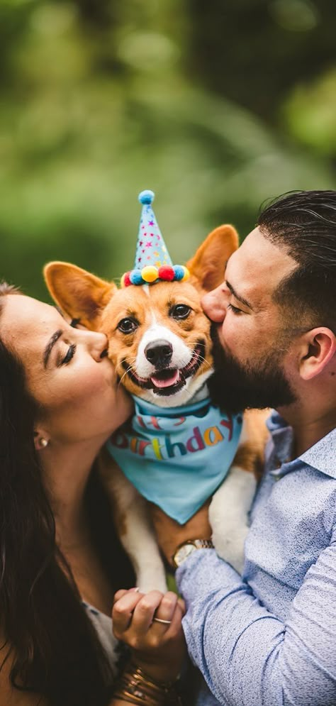 1st Birthday Dog Ideas, Dog One Year Birthday Photos, Doggie Birthday Photoshoot Ideas, Dog Birthday Ideas Pictures, Photoshoot Ideas For Dogs Birthday, Dogs Birthday Photoshoot Ideas, First Birthday Dog Photoshoot, Dogs Birthday Photoshoot, Dog Birthday Party Photo Shoot