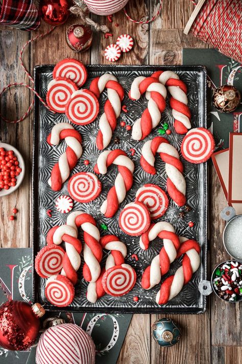 Old fashioned Christmas cookie recipes for candy cane cookies and red and white pinwheel cookies. These pretty holiday cookies are soft and buttery, and you can flavor them with vanilla, almond or peppermint extract. The whole family will love helping to make these! Candy Cane Christmas Cookies, Christmas Cookies Ideas, Christmas Cookie Boxes, Candy Cane Recipe, Christmas Cookie Box, Pinwheel Cookies, Christmas Cookies Gift, Candy Cane Cookies, Cookies Ideas