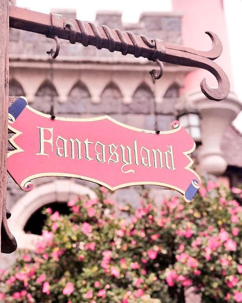 Fantasyland Disneyland, Disney World Aesthetic, Disney Village, Disney Hotels, Disney Wall, Disney Day, Disney Photos, Disney Addict, Disney Aesthetic