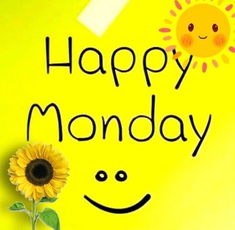 100 Happy Monday Images And Sayings happy monday quotes gif  #Weekday Happy Monday Gif, Monday Gif, Dream Quotes Inspirational, Happy Monday Images, Nice Good Morning Images, Monday Greetings, Happy Monday Quotes, Happy Monday Morning, Monday Images