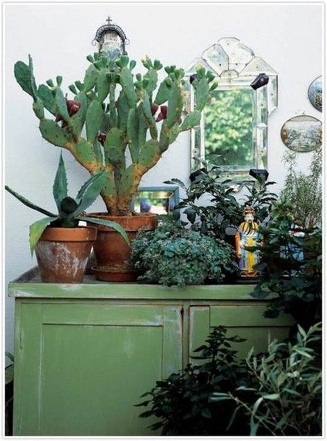 Interior Boho, نباتات منزلية, Indoor Gardens, Interior Plants, Deco Boheme, Cactus Garden, Cactus Y Suculentas, Boho Interior, Cactus Flower