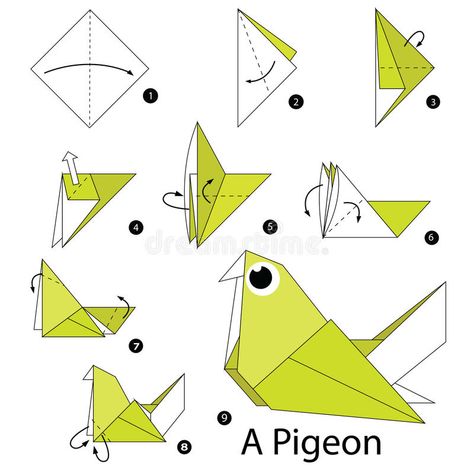 Instrucciones paso a paso cómo hacer papiroflexia una paloma stock de ilustración Origami Instructions Animals, Origami Kids, Dragon Origami, Easy Origami Animals, Origami Yoda, Origami Step By Step, Origami Decoration, Kids Origami, Origami For Beginners