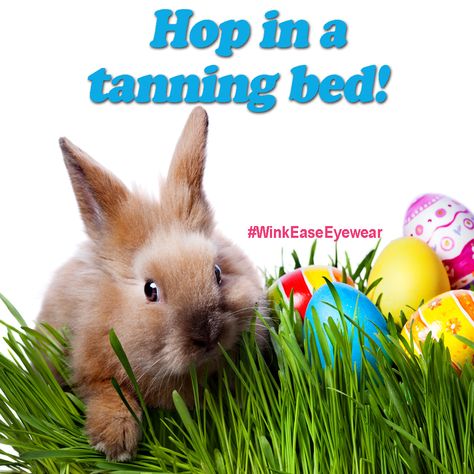 Wink-Ease disposable eye protection provides these pro-tanning memes for our tanning salon pals to share! Easter Window Display, Tanning Quotes, Outdoor Tanning, Best Tanning Lotion, Beach Tan, Airbrush Tanning, Tanning Tips, Applied Nutrition, Tanning Salon