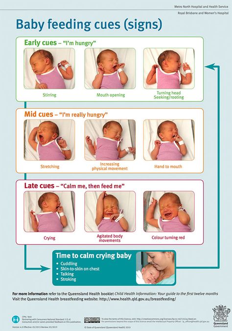 A visual guide to understanding a baby's hunger signs Feeding Cues, Baby Routine, Baby Information, Baby Help, Newborn Baby Tips, Newborn Mom, Baby Life Hacks, Sleep Training Baby, Baby Facts