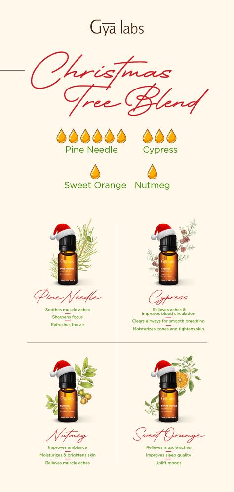 Christmas Scents Essential Oils, Christmas Smells Essential Oils, Christmas Tree Essential Oil Recipe, Xmas Essential Oil Blends, Pine Essential Oil Blends, Peppermint Essential Oil Blends, Christmas Aromatherapy Blend, Christmas Tree Essential Oil Blend, Christmas Spirit Oil Diffuser Blends