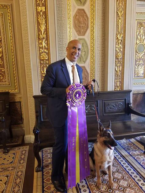 Cory Booker with “Rumor” (Grand Champion Lockenhaus' Rumor Has It V Kenlyn), the German Shepherd Dog who took Best in Show honors at both the 2017 Westminster Kennel Club Dog Show and the 2015 AKC National Championship took a grand tour of the U.S. Capitol to raise awareness of purebred dogs and National Purebred Dog Day. Breeder/owner/handler Kent Boyles, his family, representatives from the AKC, and Senate Director of Door Keepers (and Labrador Retriever Breeder) Krista Beale accompanied her. Cory Booker, Vision Board Photos, Best In Show, Rumor Has It, Purebred Dogs, American Kennel Club, German Shepherd Dog, National Championship, Grand Tour