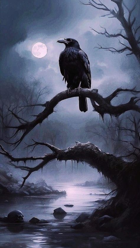 Crows Artwork, Salem Art, Raven Artwork, Happy Halloween Pictures, Quoth The Raven, Dark Tree, Scary Wallpaper, Heroic Fantasy, Raven Art