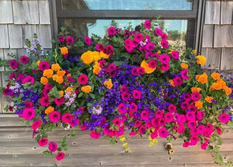 Porch Flowers, Window Box Flowers, Garden Flower Beds, Potted Plants Outdoor, Container Gardening Flowers, Flower Pots Outdoor, Garden Inspo, Garden Containers, Beautiful Flowers Garden