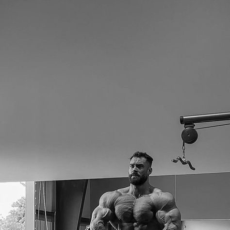 Chris Bumstead Wallpaper, Chris Bumstead, Angry Tiger, Gym Wallpaper, Bodybuilding Pictures, Gym Lifestyle, Athleisure Men, October 21, Gym Rat