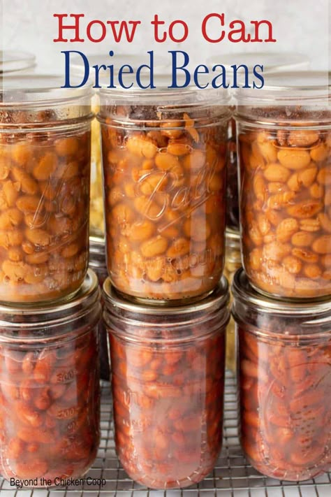 How To Can Dried Beans, Canning White Beans, How To Can Dry Beans, Canning Dry Beans Pressure Cooker, Pressure Canning Beans, Canning Dry Beans Without Soaking, Canning Dry Goods, Dry Pack Canning, Canning Pantry Storage