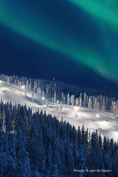 Best Ski Destinations in Europe : Ski With Northern Lights Lapland Skiing, Finland Winter, Levi Lapland, Levi Finland, Lapland Finland Aesthetic, Skiing Finland, Finland Itinerary Winter, Finland Lapland Winter, Northern Lights Finland