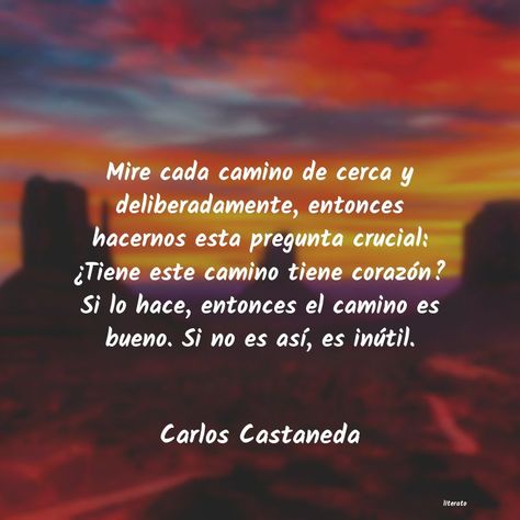 Frases de Carlos Castaneda Iphone Board, Carlos Castaneda, Quote Iphone, Healthy Life, Iphone, Quotes