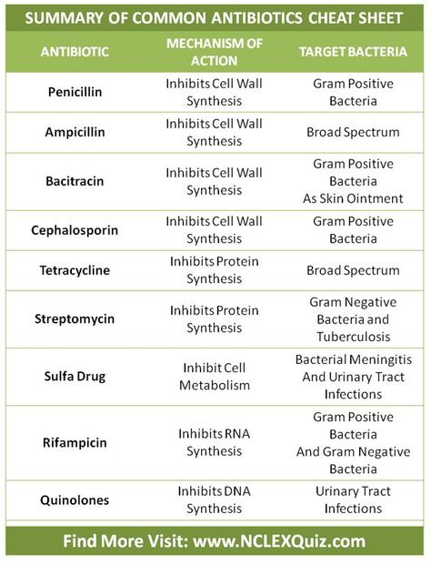 Antibiotics Cheat Sheet, Nursing Facts, Np School, Nursing Information, Nursing Cheat, Student Info, Vet Medicine, Nursing Mnemonics, Pharmacy School