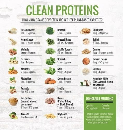 High Protein Foods List, Protein Foods List, Healthy Weight Gain Foods, Protein Meal Plan, Protein Vegetarian, High Protein Vegetarian Recipes, Clean Protein, High Protein Meal Prep, Healthy High Protein Meals