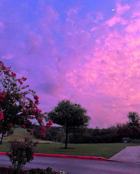 #sunset #cottoncandy #summervibes #astethic Purple Obx Aesthetic, Asthetic Picture Purple And Pink, Summer Dusk Aesthetic, Purple Sunrise Aesthetic, Pink And Purple Sunset Aesthetic, Research Images, Summer Sunset, Summer Dream, Decor Bedroom