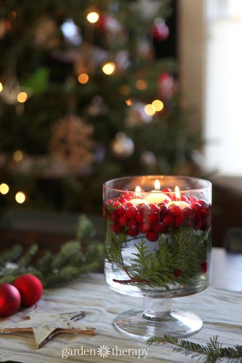 Simple Rustic Christmas Decor Ideas to Brighten Your Space - Garden Therapy Simple Christmas Decorations, Cranberry Candles, Garden Therapy, Candle Table Decorations, Candle Projects, Creative Candles, Simple Christmas Decor, Holiday Table Decorations, Diy Simple