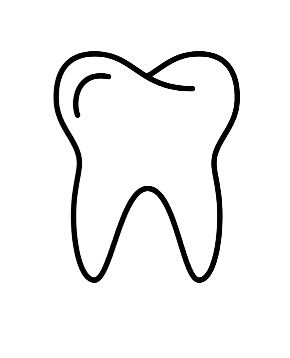 Tooth Graphic, Tooth Template, Tooth Outline, Dentist Ideas, Dental Pictures, Teeth Images, Tooth Tattoo, Cookies Theme, Dental Life