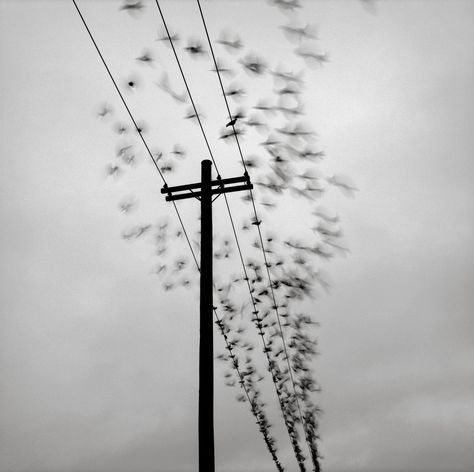 Portland | par austin granger Power Lines, Boy Face, Over The Hill, Power To The People, Framing Photography, Photo Lighting, Beach Sunset, Black Bird, Hunger Games