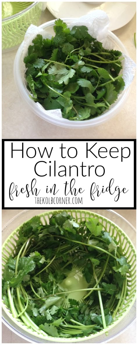 Store Vegetables In Fridge, Vegetables In Fridge, Store Cilantro, Fridge Tips, Freezing Fresh Herbs, Preserve Fresh Herbs, Store Fresh Herbs, Store Vegetables, Amazing Food Hacks