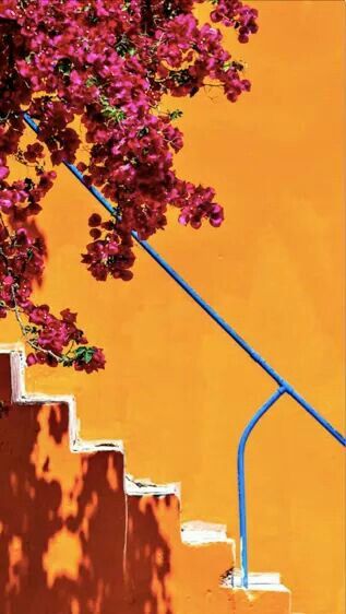 Plakat Design Inspiration, Orange Aesthetic, Yellow Aesthetic, 판타지 아트, Bougainvillea, Mellow Yellow, Travel Aesthetic, Bright Orange, Wall Collage