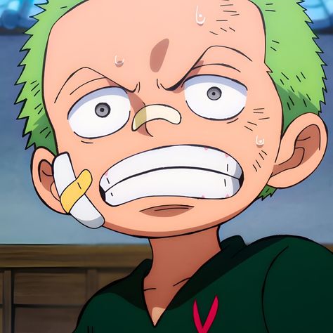 Marimo Zoro, Zoro Kid, One Piece Zoro, Anime Inspired Outfits, One Piece Drawing, One Piece Pictures, Roronoa Zoro, Indie Kids, Manga Characters