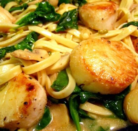 Shrimp Fettuccine, Meat Meals, Shell Fish, Scallop Recipes, Red Kitchen, Fish Dishes, Roasted Garlic, Seafood Dishes, Shrimp Recipes