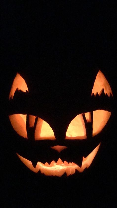 Cool Jack O Lanterns, Simple Cat Pumpkin Carving Ideas, Flower Jack O Lantern Ideas, Punkin Carvings Ideas, Cat O Lantern, Harry Potter Jack O Lantern Ideas, Best Jack O Lantern Ideas, Witch Jack O Lantern Pumpkin Carvings, Jack I Lantern Ideas