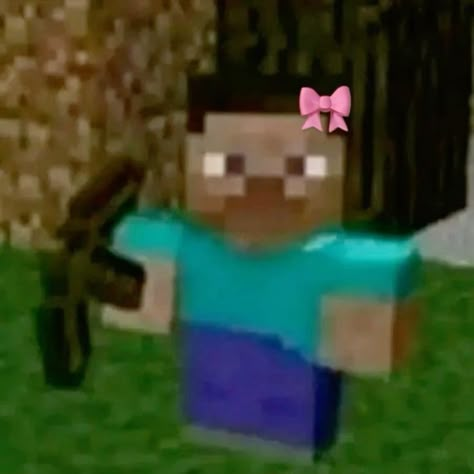 #memesbrasil Minecraft Aesthetic Profile Pic, Minecraft Profile Pic, Matching Minecraft Pfp, Cute Minecraft Pfp, Minecraft Pp, Minecraft Reaction Pics, Steve Core, Roblox Aesthetic Wallpaper, Minecraft Profile Picture