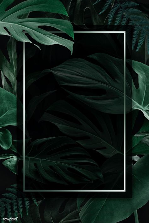 Leaves Aesthetic, Wallpaper Leaves, Tropical Frames, Green Leaf Background, Dark Green Wallpaper, Leaf Frame, Tropical Background, Leaves Background, Background Green