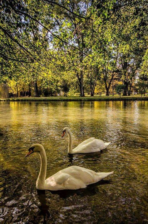 Albania Nature, Pogradec Albania, Albania Country, Beautiful Europe, Visit Albania, Albania Travel, Diy Best Friend Gifts, Holiday Places, Summer Landscape