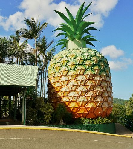 Big Pineapple, Australia Landscape, Roadside Attractions, Holiday Time, Sunshine Coast, Queensland, Pineapple, Australia, Photography