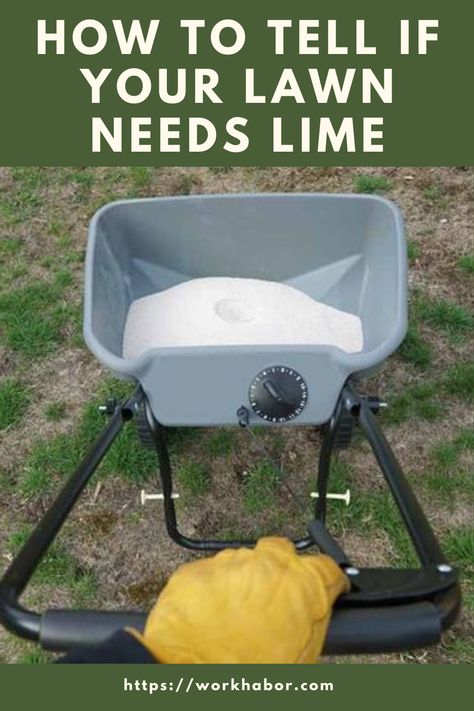 Also known as garden lime, lime is derived from burnt limestone, and it contains potassium, calcium, and magnesium. Its primary role is to balance the soil pH so your grass and other plants can access macronutrients. Now and then, especially if you live in areas with acidic soils, you need to apply lime to your yard. Yard Fertilizer Lawn Care, Over Seeding Lawn Spring, Lime For Lawns, Lawn Care Diy, Cedar Hedge, Lawn Renovation, Lawn Repair, Planting Grass, Seeding Lawn