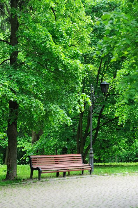 Bench in the park stock images Park Chair Background For Editing, Park Bench Aesthetic, Bench Aesthetic, Crow Comic, Park Reference, Park Scene, Park Benches, Garden Background, Breathtaking Nature