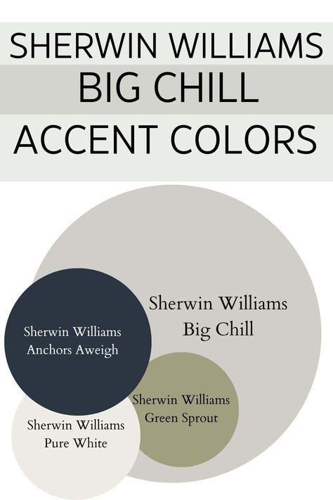 Sherwin Williams Big Chill SW 7648: A Full Paint Color Review - West Magnolia Charm Sherwin Williams Big Chill, Sherwin Williams Green, Most Popular Paint Colors, Best Neutral Paint Colors, Magnolia Paint, Interior Paint Color, Home Decor Paint, Popular Paint Colors, Big Chill