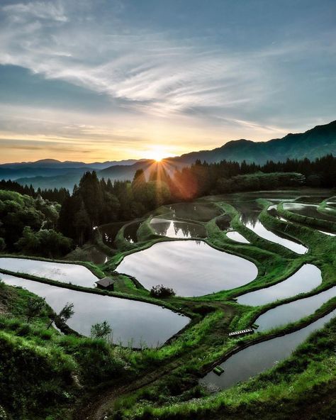 Hyogo Japan, Scenery Photography, Virtual Travel, Rice Terraces, Hyogo, Japanese Landscape, Magic Hour, Visit Japan, Telling Stories