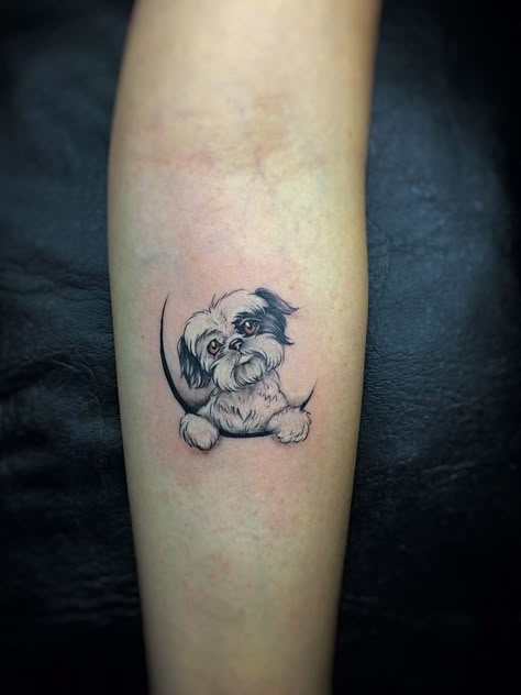 Lhasa Apso Tattoo Lhasa Apso Tattoo, Pi Tattoo, Pet Memorial Tattoo, Dog Tattoo Ideas, Shadow Tattoo, Tribute Tattoos, Tattoos For Dog Lovers, Dog Paw Tattoo, Tattoo Dog