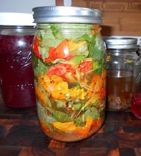 How To Preserve Nasturtiums, Dried Nasturtium Flowers, Fermented Nasturtium, Nasturtium Benefits, Nasturtium Tincture, Nasturtium Recipes, Ferment Recipes, Food Fermentation, Nasturtium Leaves