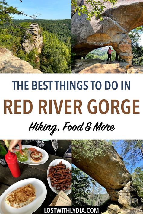 Gorge Best, Kentucky Hiking, Kentucky Camping, Red River Gorge Kentucky, Kentucky Attractions, Kentucky Vacation, Kentucky Travel, Vacation Wishes, Hiking Places