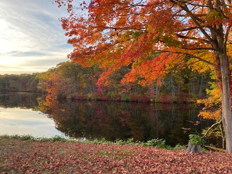 Lake In Autumn, Lake House Paint Colors, Friends Aesthetics, Fall Lake, Rainy Lake, Maine Trip, Scene Aesthetic, Red Lake, Fall Mood Board